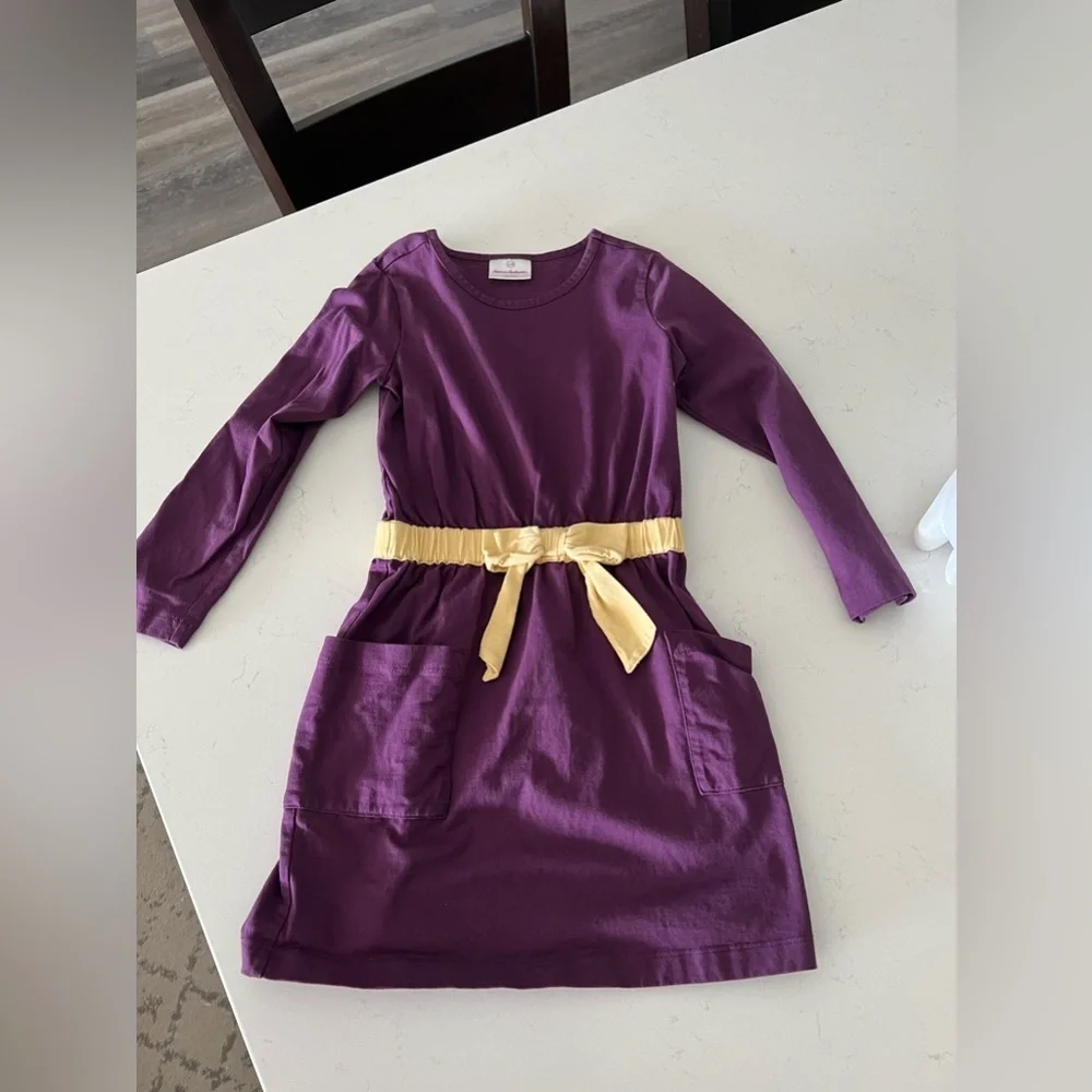 Hanna Andersson Long Sleeve Purple Dress w/ Pockets size 110/5